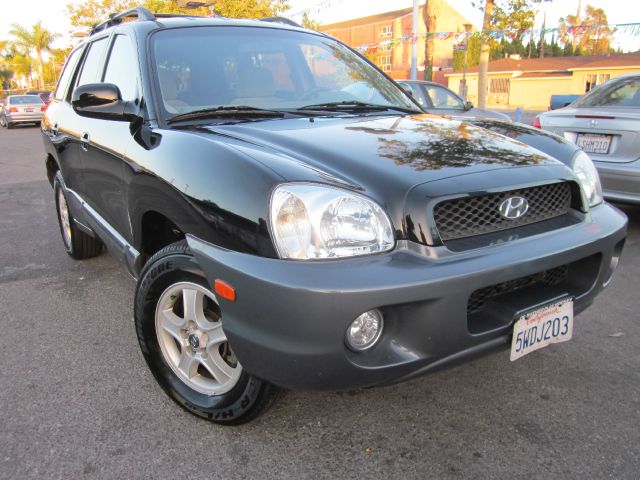 Hyundai Santa Fe 2004 photo 1