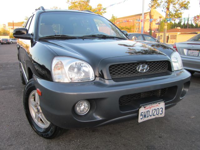 Hyundai Santa Fe 2004 photo 2