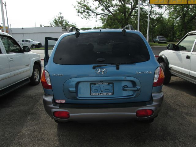 Hyundai Santa Fe 2004 photo 3