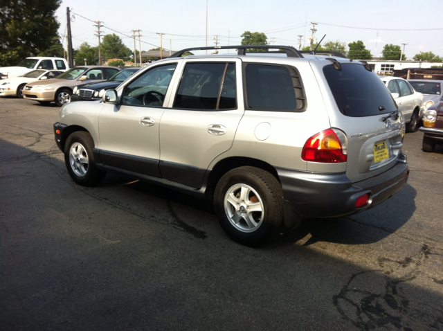 Hyundai Santa Fe 2004 photo 1