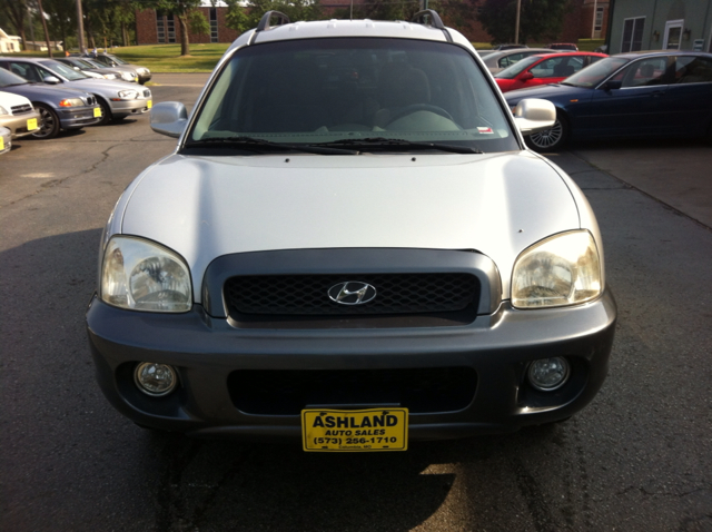 Hyundai Santa Fe 2004 photo 2