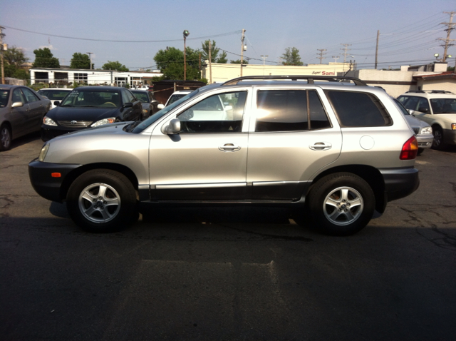 Hyundai Santa Fe 2004 photo 3