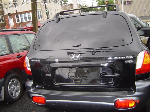 Hyundai Santa Fe 2004 photo 4