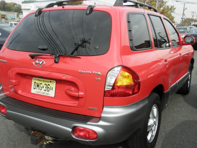 Hyundai Santa Fe 2004 photo 1