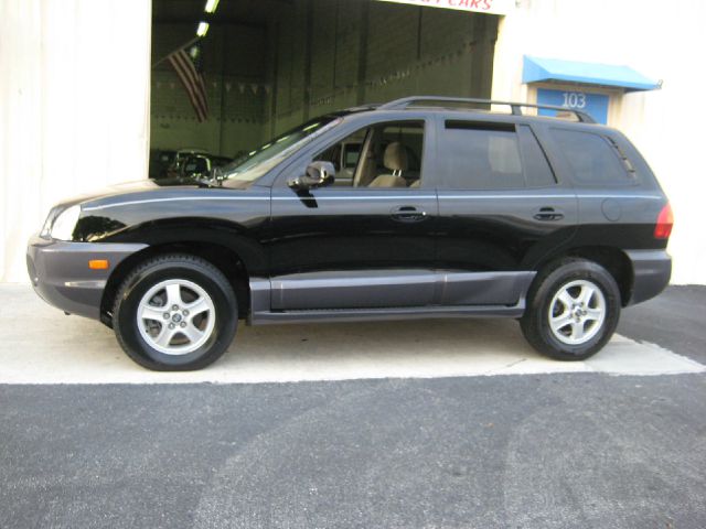 Hyundai Santa Fe 2004 photo 3