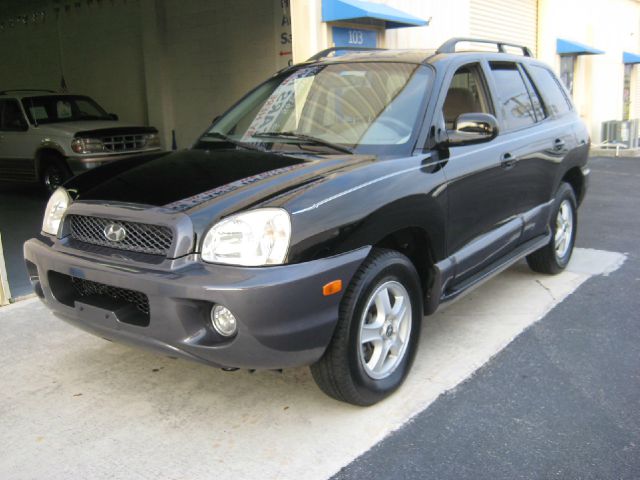 Hyundai Santa Fe 2004 photo 4