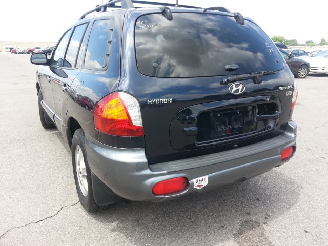 Hyundai Santa Fe 2004 photo 3