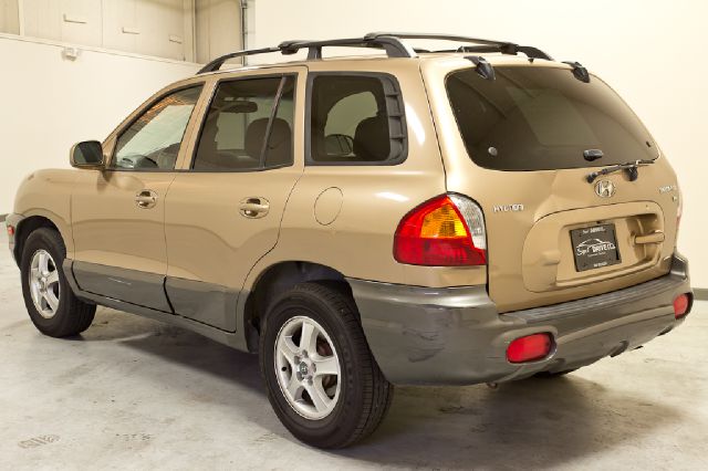 Hyundai Santa Fe 2004 photo 2