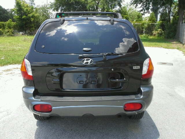 Hyundai Santa Fe 2004 photo 9