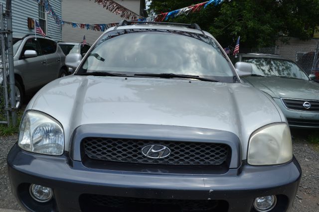 Hyundai Santa Fe 2004 photo 3