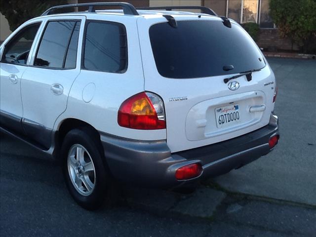 Hyundai Santa Fe 2004 photo 1