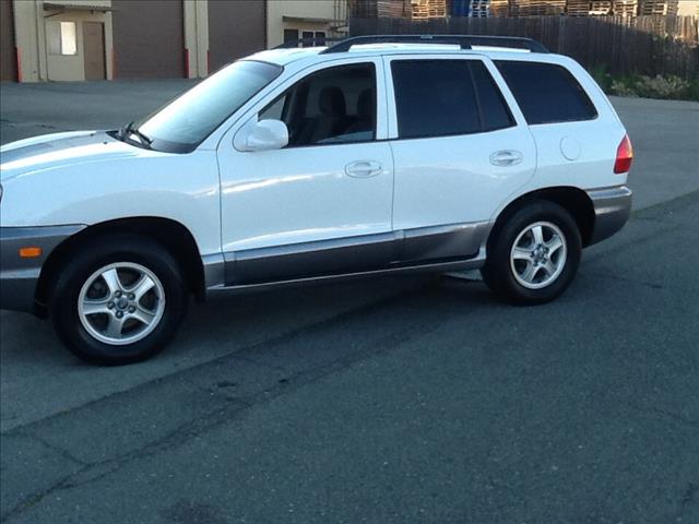 Hyundai Santa Fe 2004 photo 2