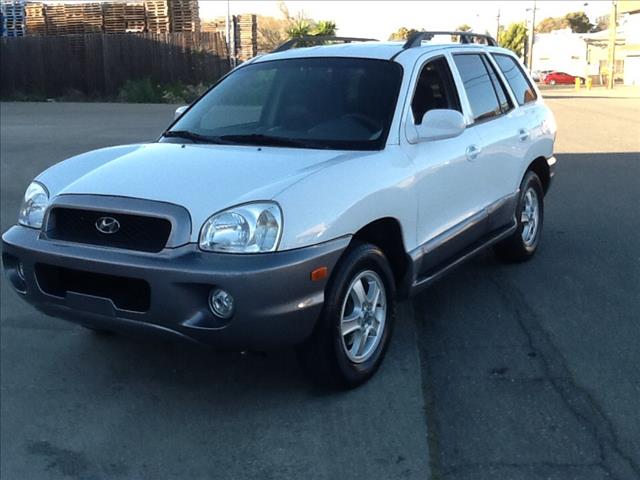 Hyundai Santa Fe 2004 photo 3