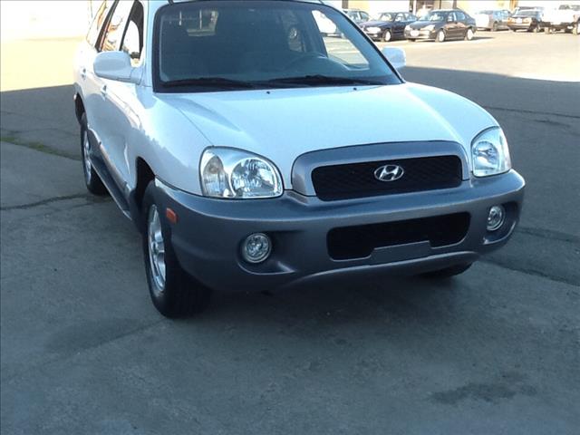 Hyundai Santa Fe 2004 photo 4