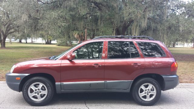 Hyundai Santa Fe 2004 photo 2