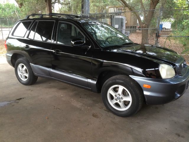 Hyundai Santa Fe 2004 photo 1