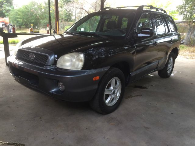 Hyundai Santa Fe 2004 photo 2