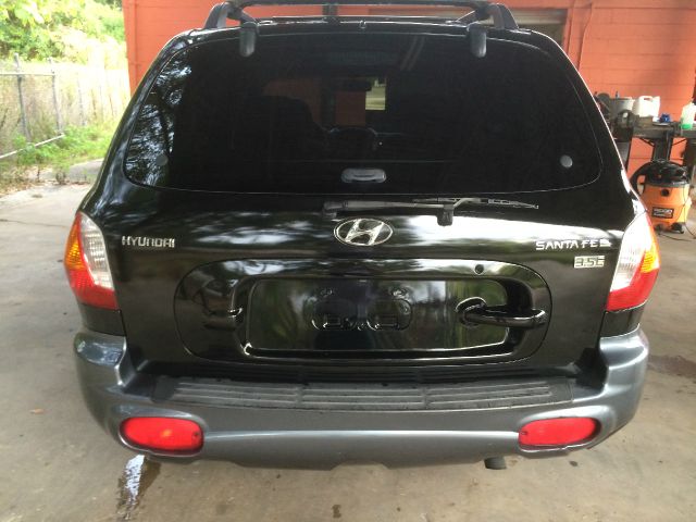 Hyundai Santa Fe 2004 photo 4