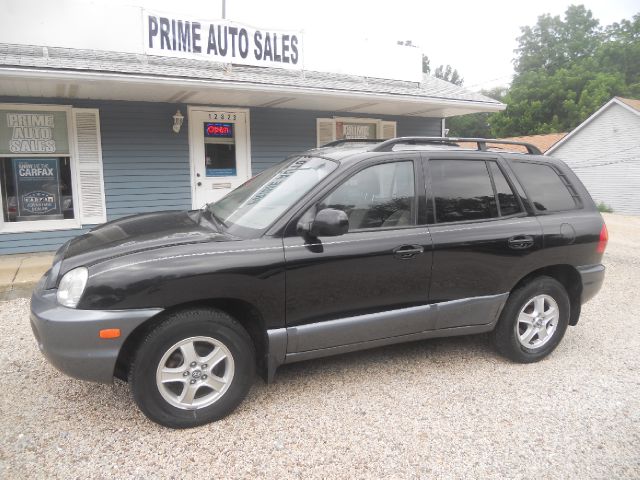 Hyundai Santa Fe 2004 photo 3