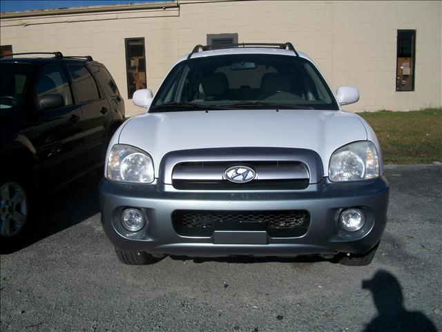 Hyundai Santa Fe 2005 photo 1