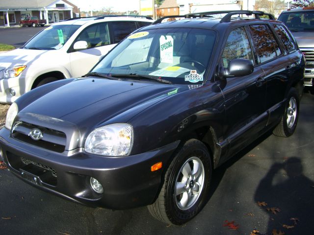 Hyundai Santa Fe 2005 photo 4