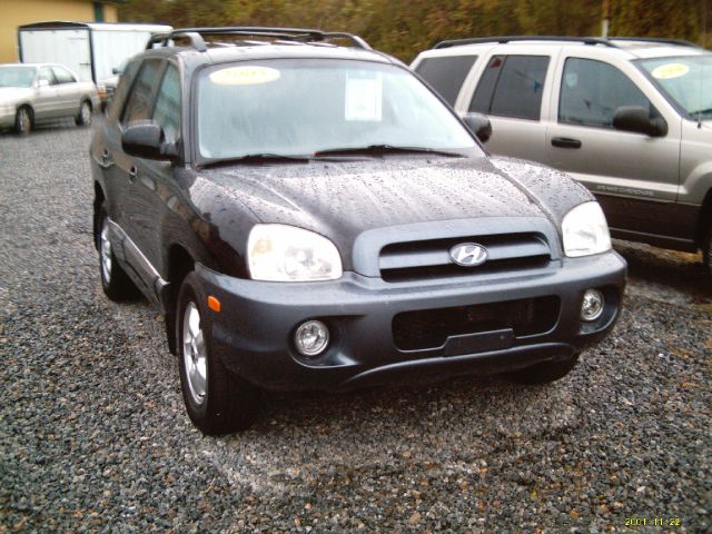 Hyundai Santa Fe 2005 photo 1