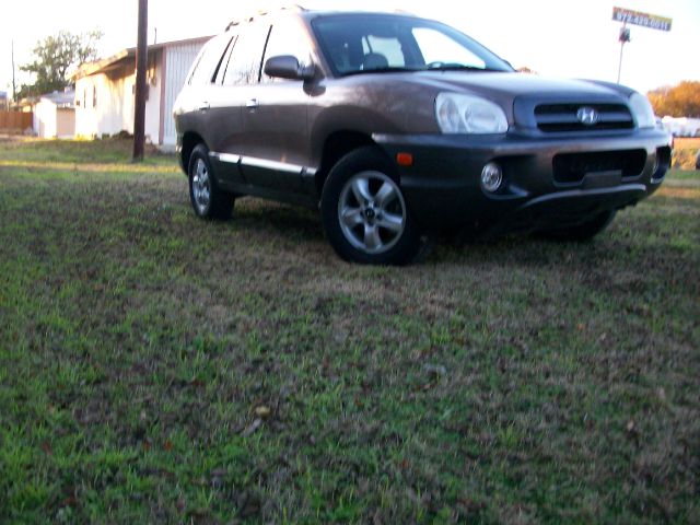 Hyundai Santa Fe 2005 photo 4