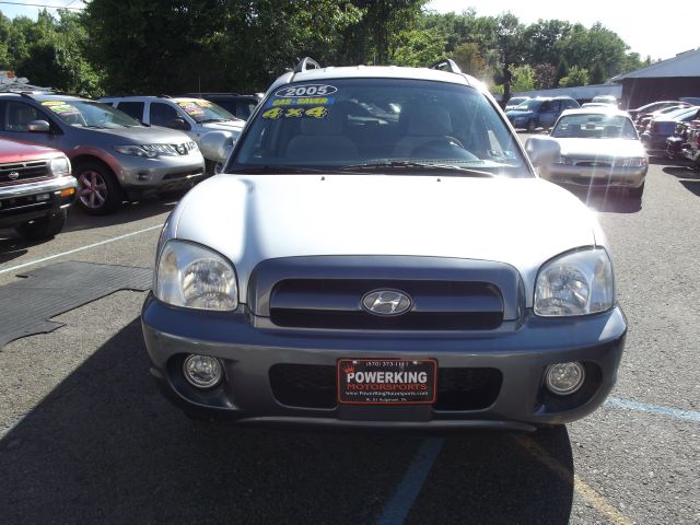 Hyundai Santa Fe 2005 photo 3