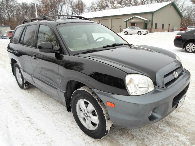 Hyundai Santa Fe 2006 photo 2