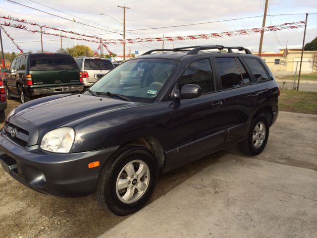 Hyundai Santa Fe 2006 photo 3