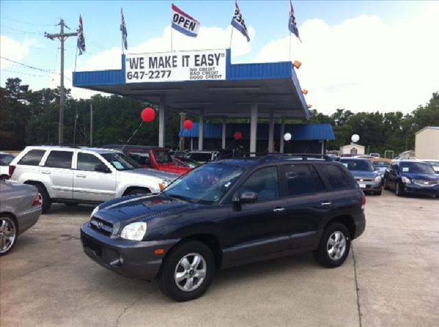 Hyundai Santa Fe 2006 photo 4