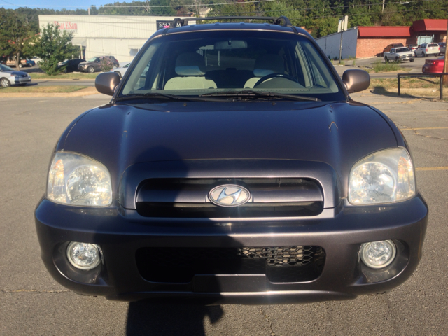 Hyundai Santa Fe 2006 photo 3