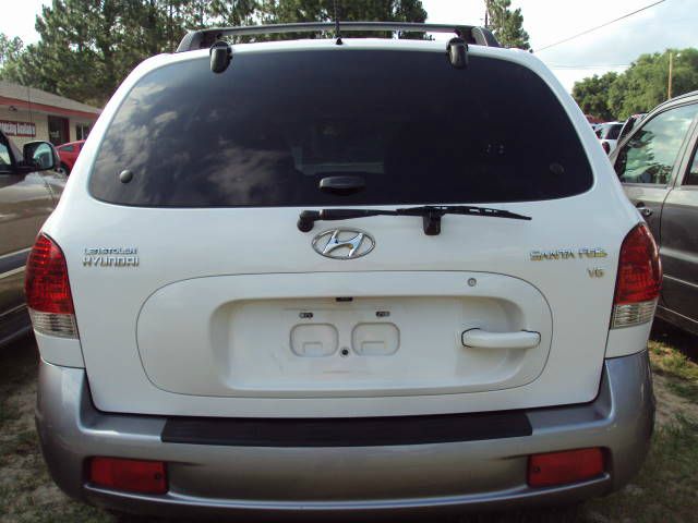 Hyundai Santa Fe 2006 photo 4