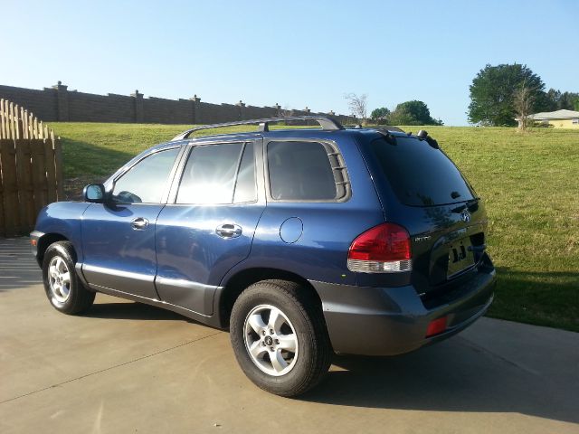 Hyundai Santa Fe 2006 photo 2