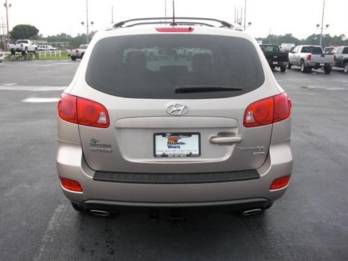 Hyundai Santa Fe ION 1 Other