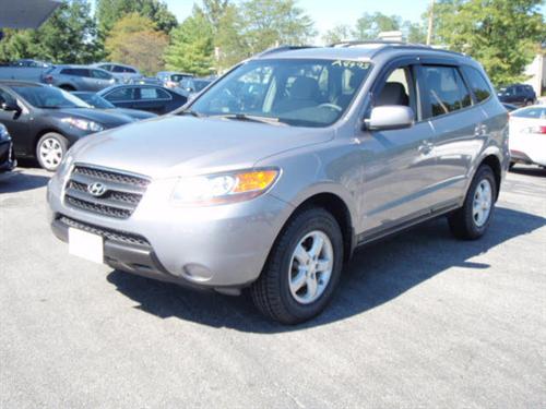 Hyundai Santa Fe Reg. Cab 8-ft. Bed 2WD Other