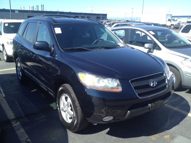 Hyundai Santa Fe 2007 photo 4