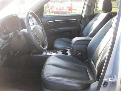 Hyundai Santa Fe Unknown Other