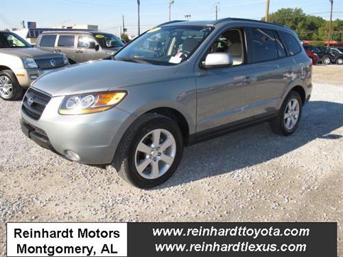 Hyundai Santa Fe S-8 Other