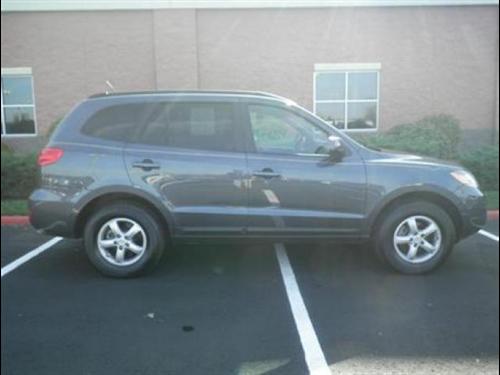 Hyundai Santa Fe 2008 photo 3