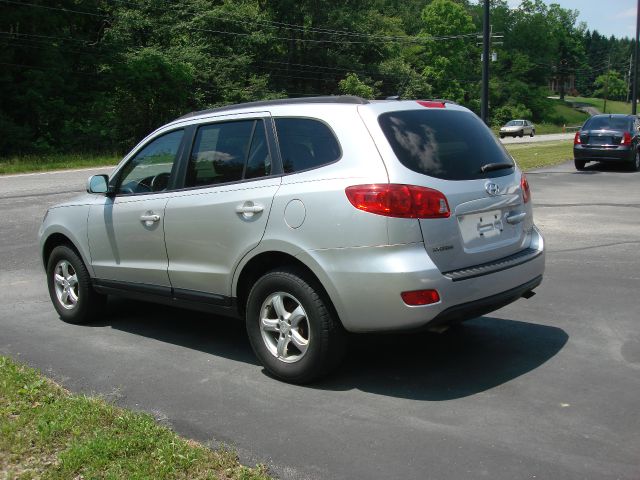 Hyundai Santa Fe 2008 photo 2