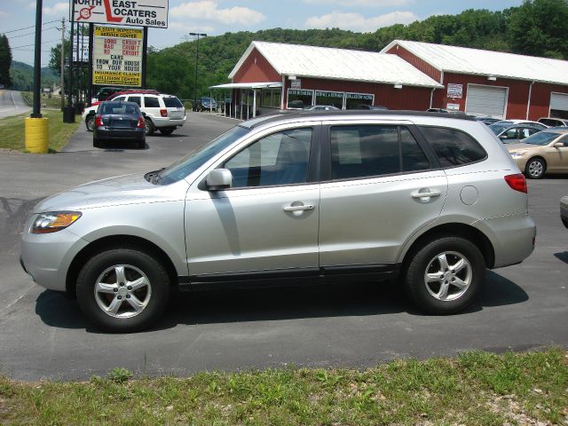 Hyundai Santa Fe 2008 photo 4