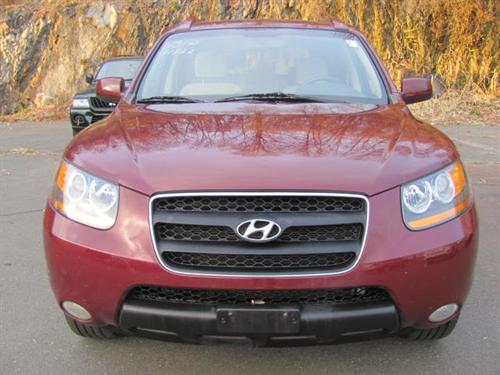 Hyundai Santa Fe SE Other