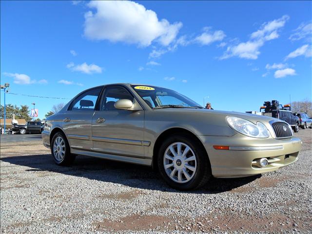 Hyundai Sonata Elk Conversion Van Sedan