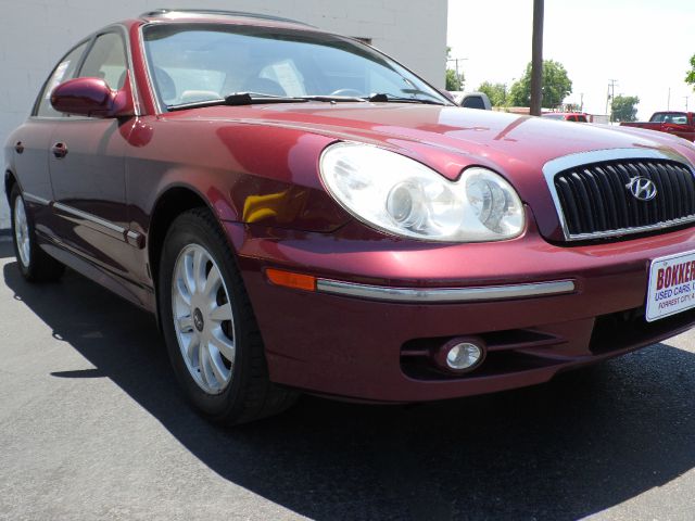 Hyundai Sonata Elk Conversion Van Sedan
