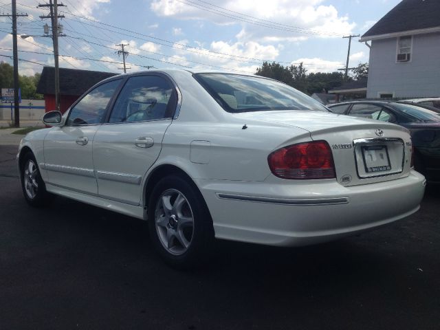 Hyundai Sonata Elk Conversion Van Sedan