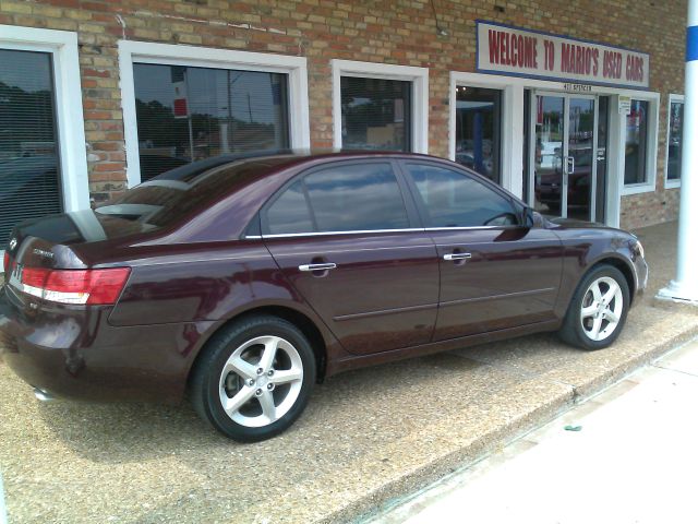 Hyundai Sonata Elk Conversion Van Sedan