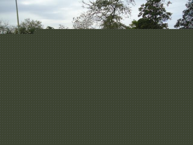 Infiniti G37 2008 photo 2