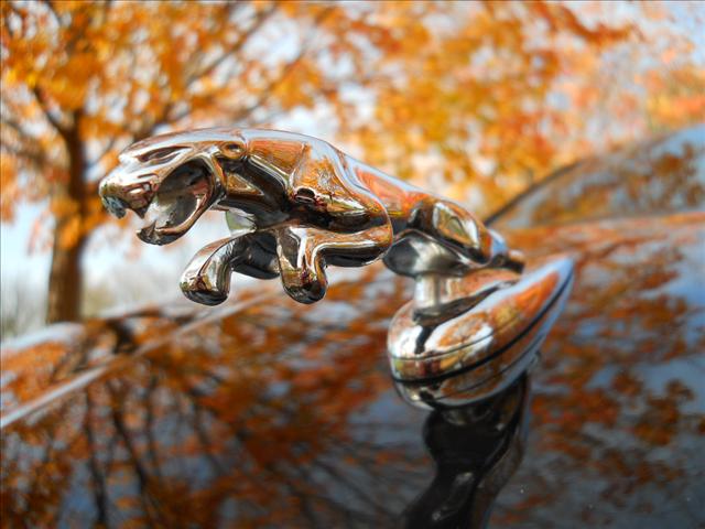 JAGUAR X-Type 2003 photo 2