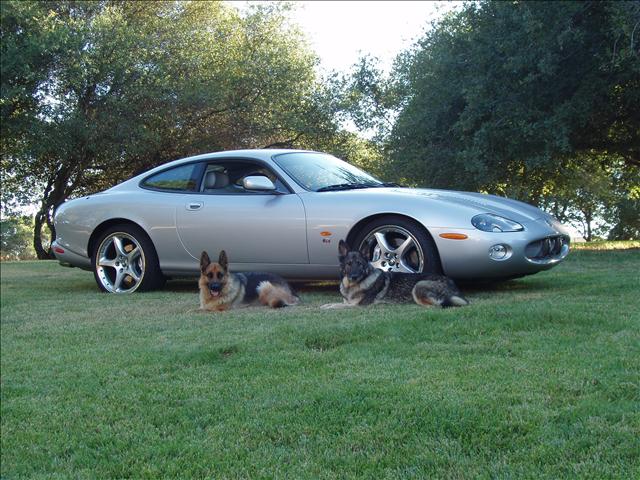 JAGUAR XKR 2004 photo 2